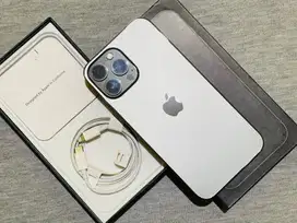 iPhone 13 promax 128 gb ex inter imei terdaftar Bea Cukai