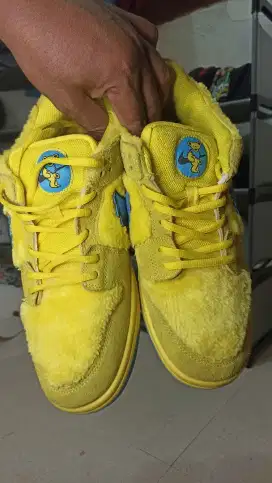 Sepatu Nike SB Bears
