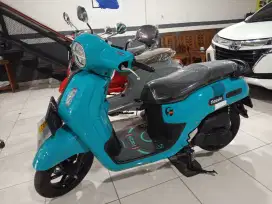 Fazio neo 2024 mulus