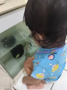 Cari art untuk momong anak balita