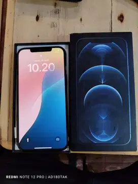 Iphone 12 Pro Max 256 Beacukai