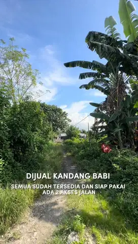 DI JUAL KANDANG BABI , GUDANG , BANGUNAN