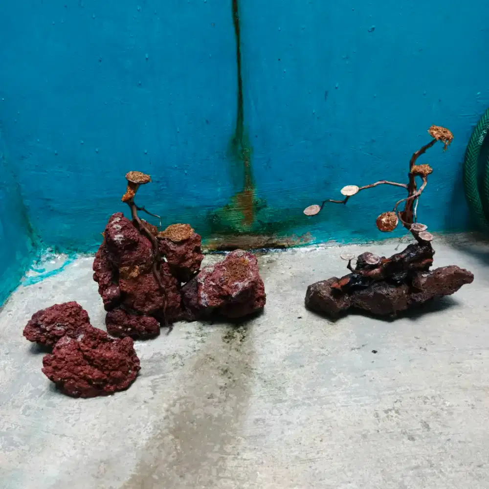 Hardscape aquascape (BUKAN JUAL AQUARIUM, FILTER ATAUPUN LAMPU)