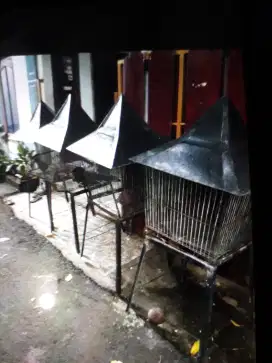 kandang burung murah borongan ada 4 jual cepat