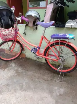 Sepeda anak pacifik ban 20