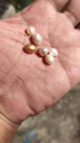 Mutiara natural borongan 6 pieces