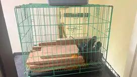 Kandang ukuran 60 warna hijau