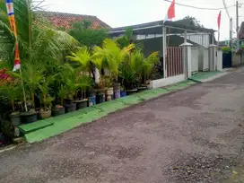 Rumah Dijual Cepat Di Way Huwi Airan Raya Sukarame Bandar Lampung