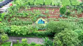 DIJUAL TANAH ZONA INDUSTRI DI DS CIRARAB, LEGOK - TANGERANG
