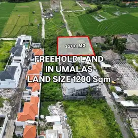 Tanah Ideal Untuk Pembangunan Villa di Umalas Badung Bali