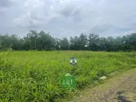 Jual Kavling Siap Bangun Modernland