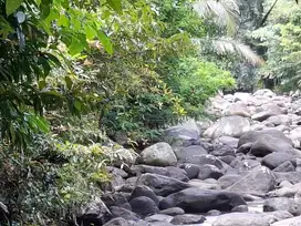 Dijual murah tanah lis sungai bebatuan di tabanan bali