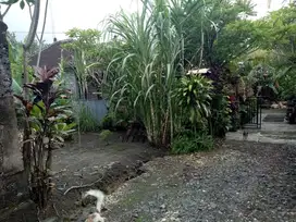 Tanah 170m2 di Munggu dekat Tumbak Bayuh Pererenan Badung