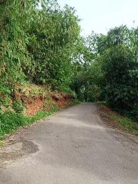 tanah bagus bisa bayar bertahap nego berantakan