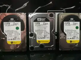 JUAL HARDDISK 1-2 TB WD bekas server