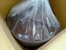 Meses cokelat Nuri 7 Kg+