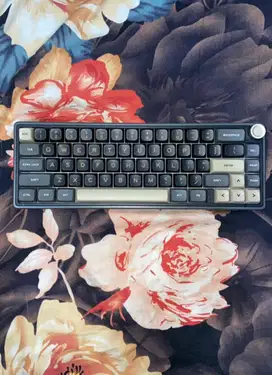 JUAL KEYBOARD GAMING ROYAL KLUDGE R65 WIRED