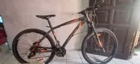 Mtb united detroit