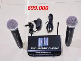 MICROPHONE WIRELESS 2 MIC