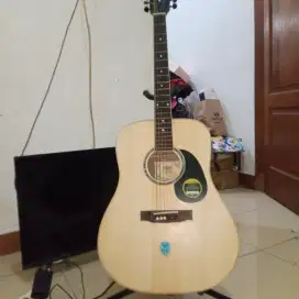 Gitar cort Masi mulus