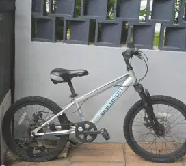 Sepeda MTB Polygon Maze 20