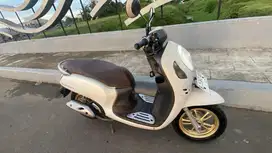 Scoopy 2024 keyles