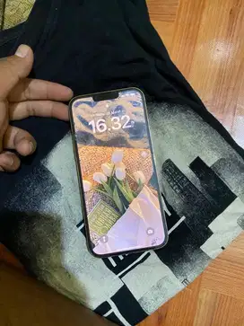 iphone 13 promax wifi only