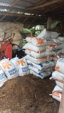 Pupuk kandang halus cemendil