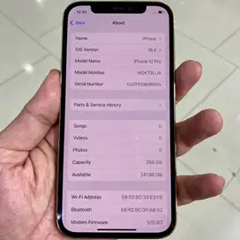 Iphone 12 pro 256 inter full oem indosat tri saja