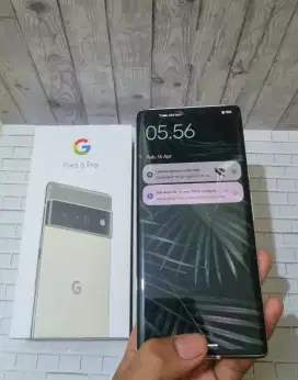 Gopix 6 Pro 12gb fullset signal permanen