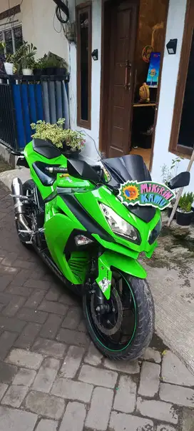 Kawasaki ninja 250 fi