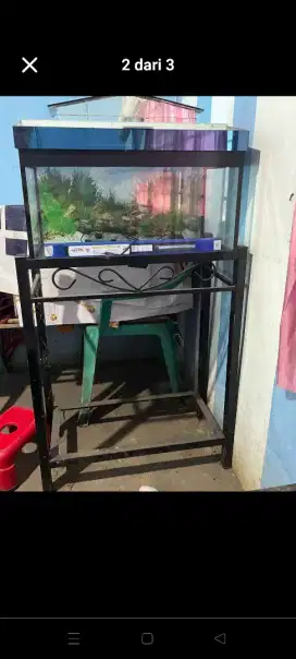 aquarium 30x60+ kaki