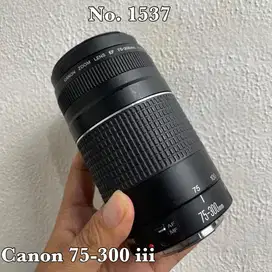 Canon 75-300 iii