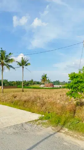Tanah SHM dijual 675 m2 Natar Murah Strategis & 100% terpercaya