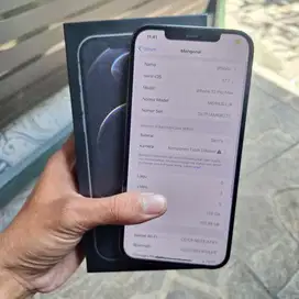 Iphone 12 promax 128gb ex inter