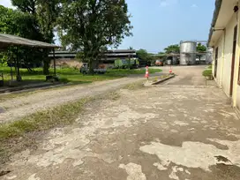 Gudang cikupa jalan raya serang pinggir jalan besar