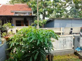 Jual Rumah SHM di Komplek 65 jl Mujahidin Meruyung Limo