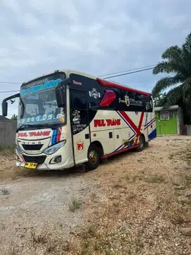 bus medium seat 29 plat kuning