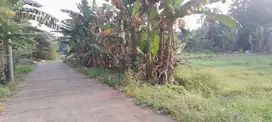 Jual Tanah SHM 100 M2 jl Kopo Pendowo limo depok