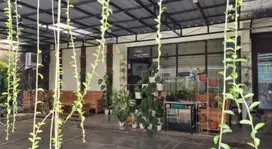 Jalan Lebar Rumah Kost Dekat Dengan Kampus Undip Tembalang semarang