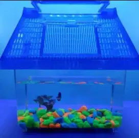 Aquarium mini full set