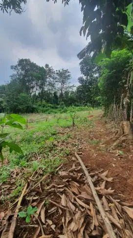 Tanah dijual di jonggol