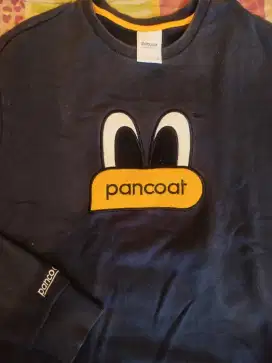 Pancoat s fit m