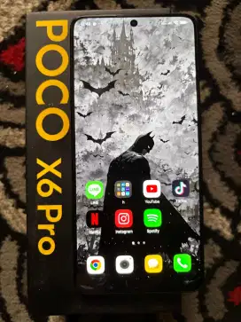 Xiomi X6 Pro 12/512