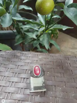 Ruby stars Tanzania 9 cts (Natural)