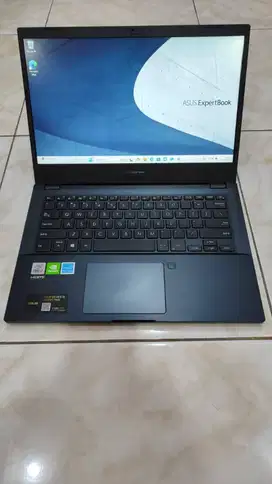 Laptop Asus Expertbook P2451FB Intel Core i7/8GB/521GB Win 11