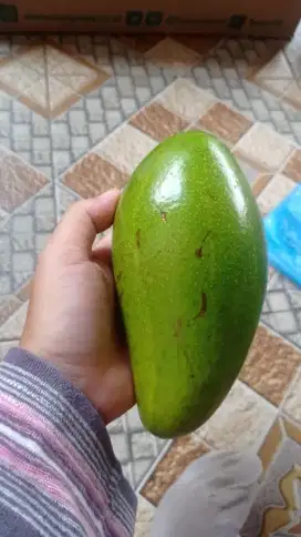 Dibutuhkan ART yg menginap