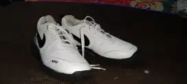 Sepatu NIKE AIR PEGASUS