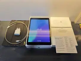 iPad 9.7 (2021) 9th Generation 256 GB Wi-Fi only