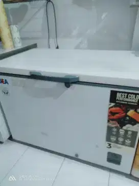 Freezer merk gea 300liter